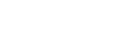 Disruptor
